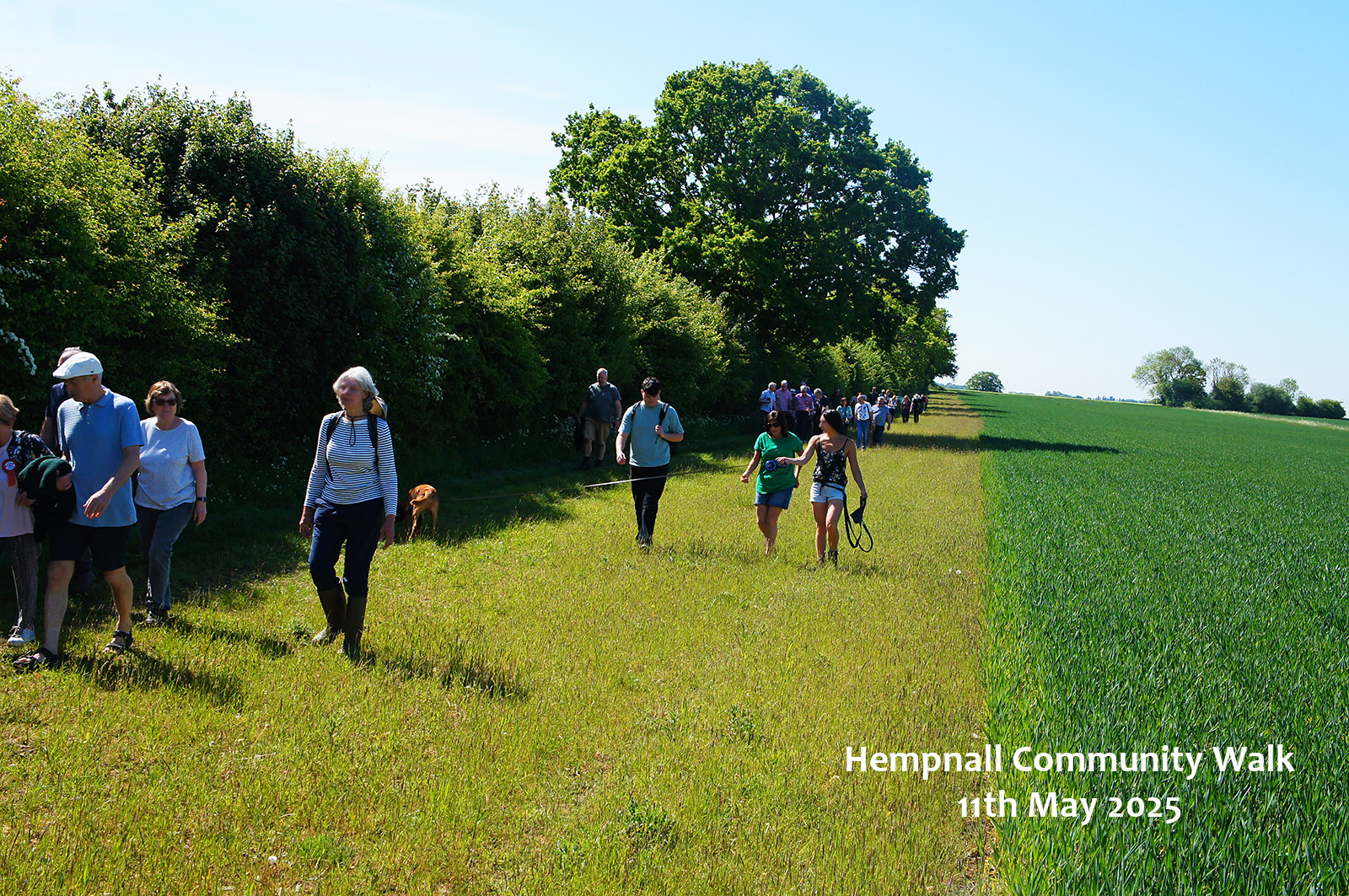 South Norfolk countryside
